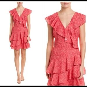 Parker NY New with Tags Size Medium Hydrangea Pink Floral Pattern Dress